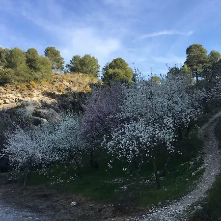 Alojamiento Casa Pepa Сasa de vacaciones Moclín